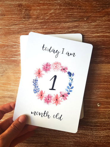 Baby Milestone Cards Pink Edition