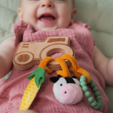 Baby To Love Παιχνίδι Δραστηριοτήτων Farm