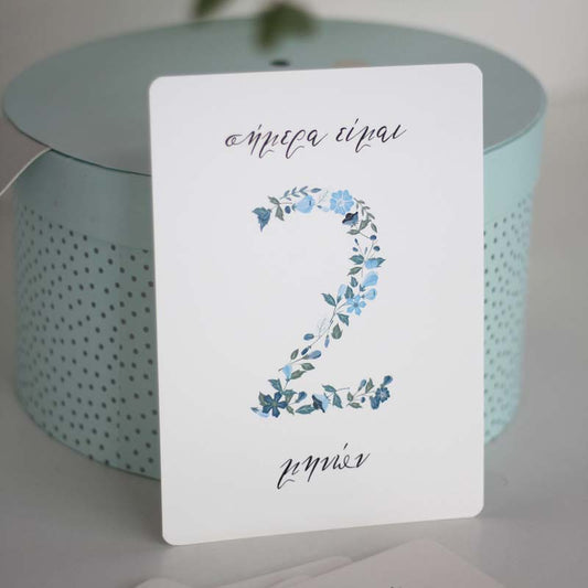 Baby Milestone Cards Vintage Blue Floral