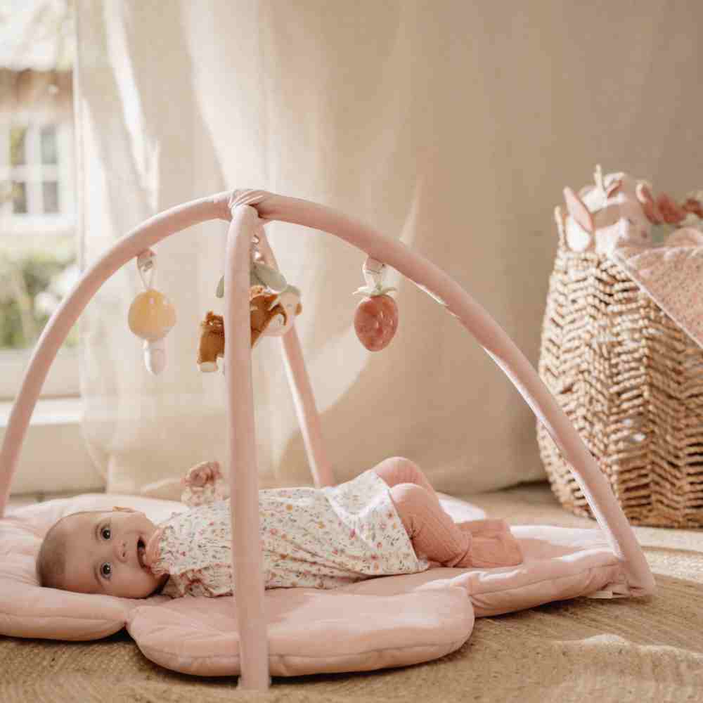 Little Dutch Βρεφικό Γυμναστήριο Δραστηριοτήτων Fairy Garden GRS