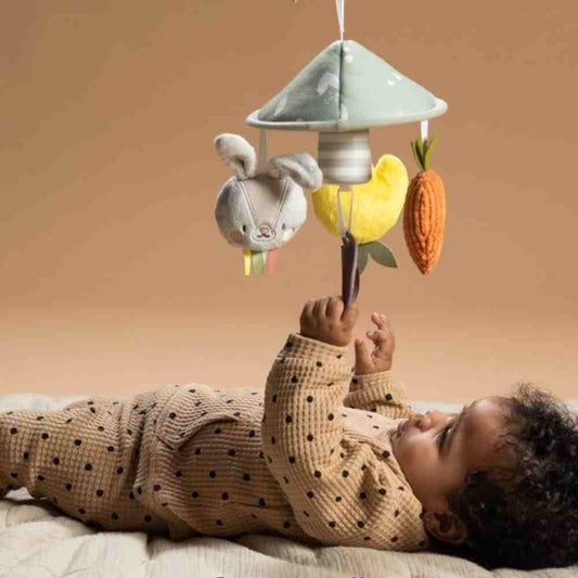 Taf Toys Garden Pram Μόμπιλε