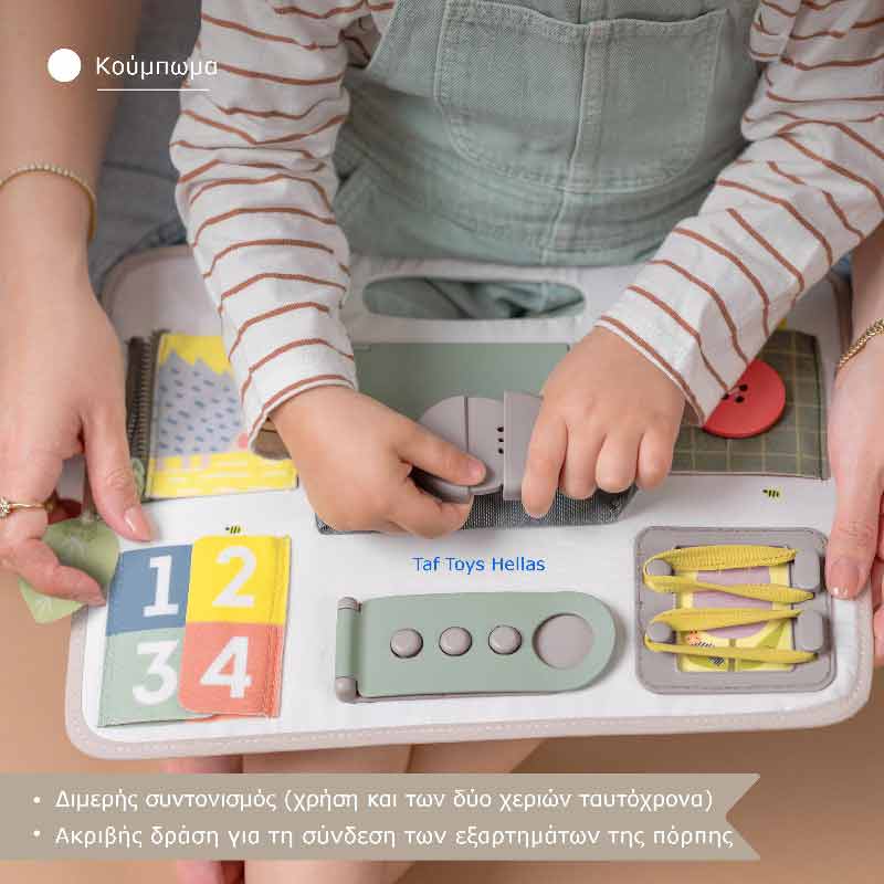 Taf Toys Παιχνίδι Δραστηριοτήτων Buckle Board