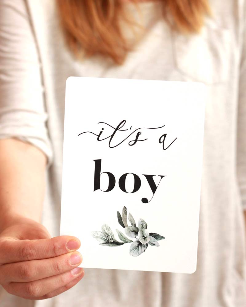 Pregnancy Milestone Cards