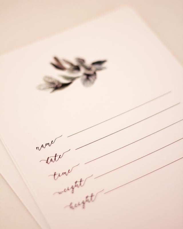 Pregnancy Milestone Cards
