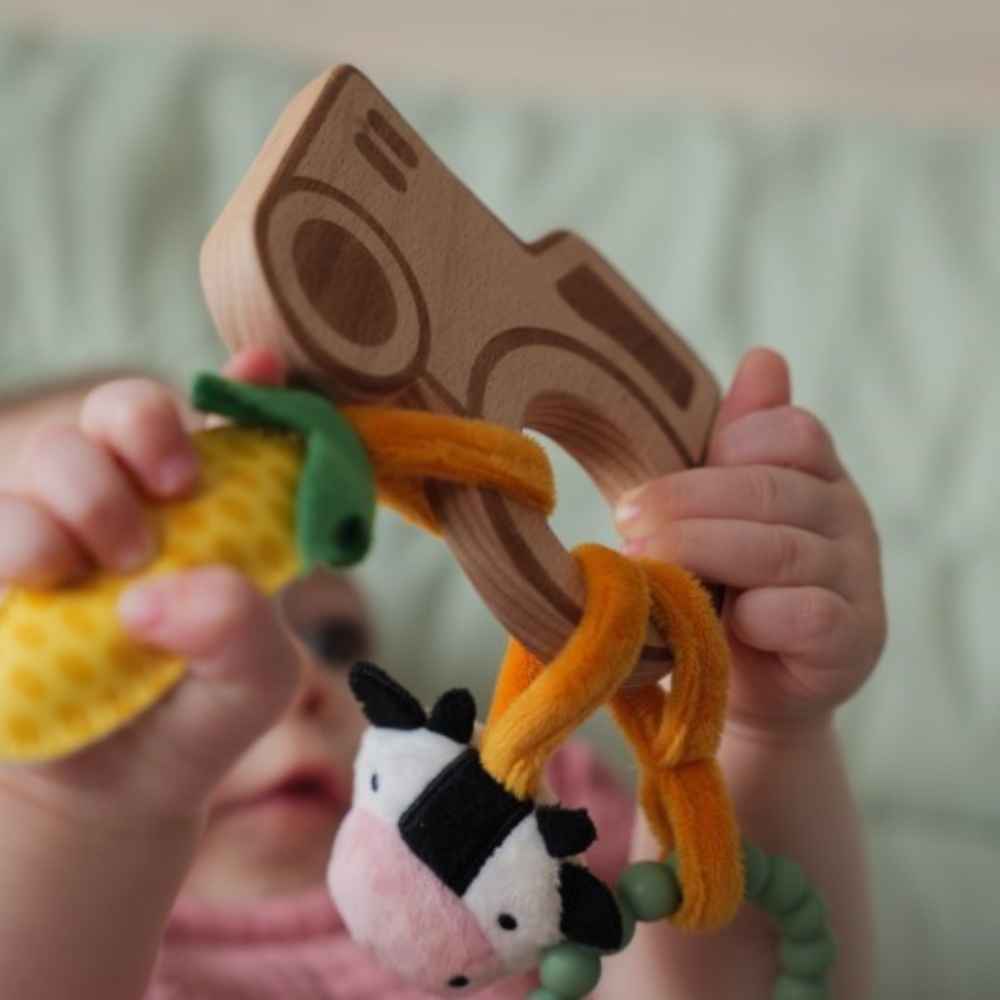 Baby To Love Παιχνίδι Δραστηριοτήτων Farm