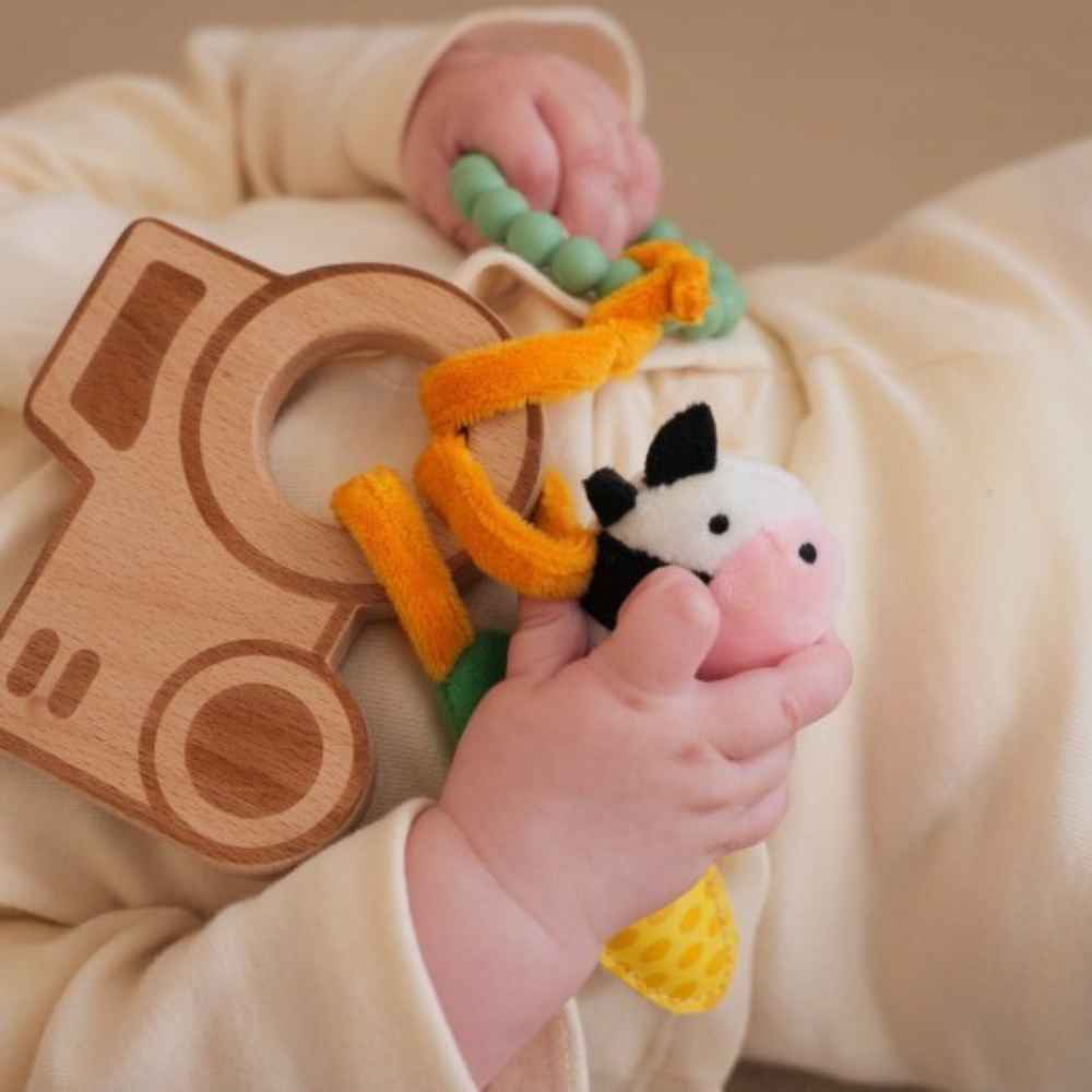Baby To Love Παιχνίδι Δραστηριοτήτων Farm