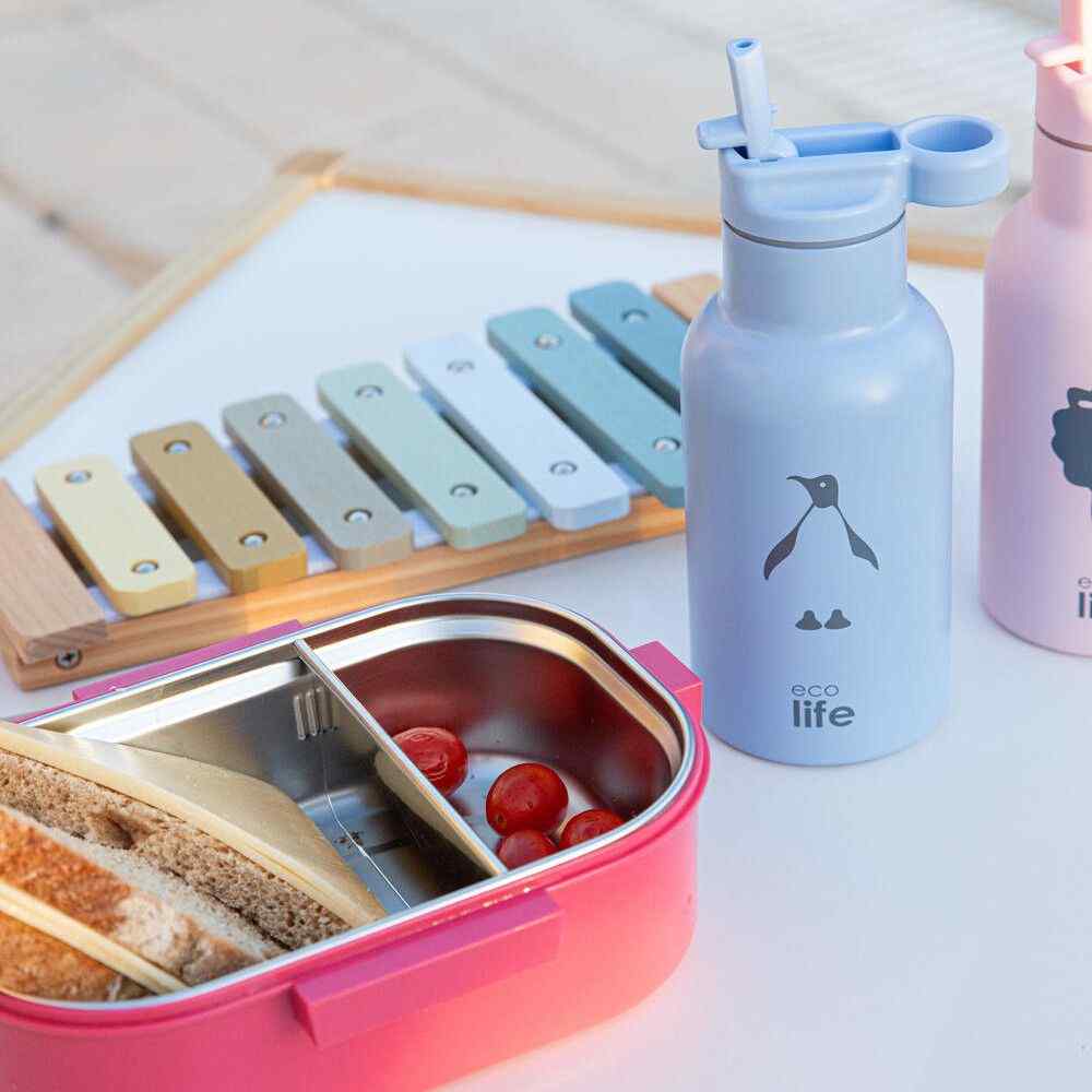 Ecolife Deep Rose Φαγητοδοχείο 900ml Με Χώρισμα