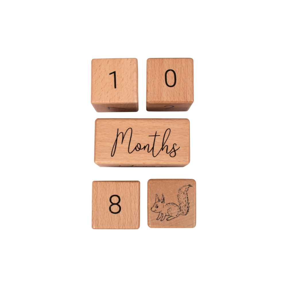 Filibabba Milestone Wooden Blocks