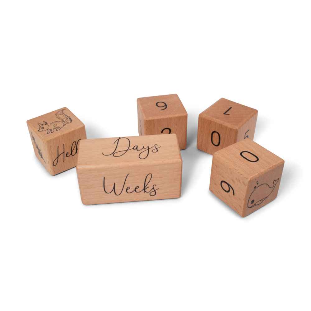 Filibabba Milestone Wooden Blocks