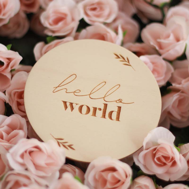 'Hello World' Wooden Disc