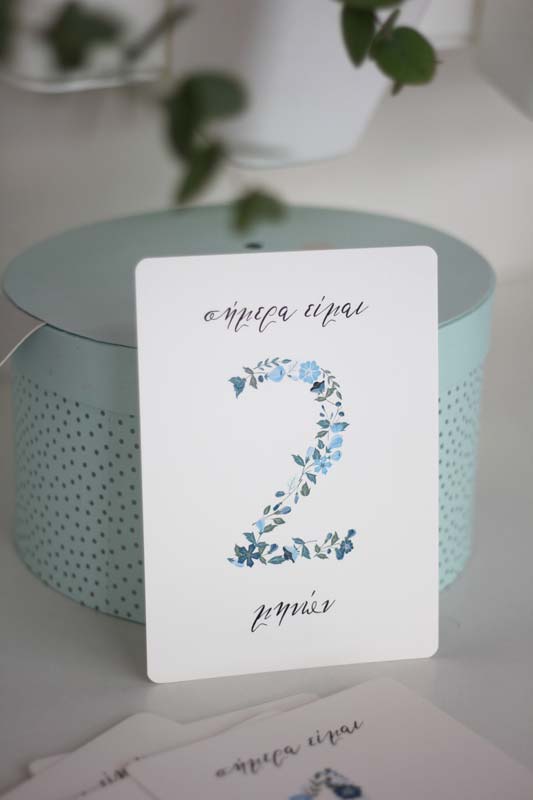 Baby Milestone Cards Vintage Blue Floral