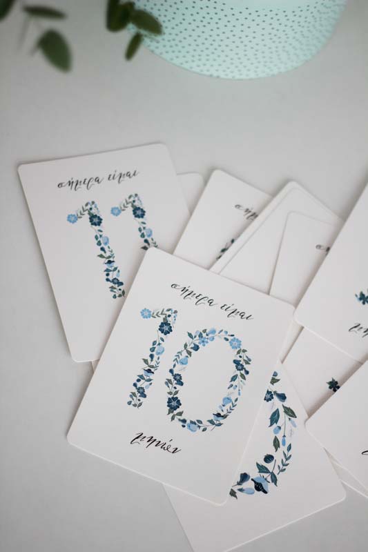 Baby Milestone Cards Vintage Blue Floral