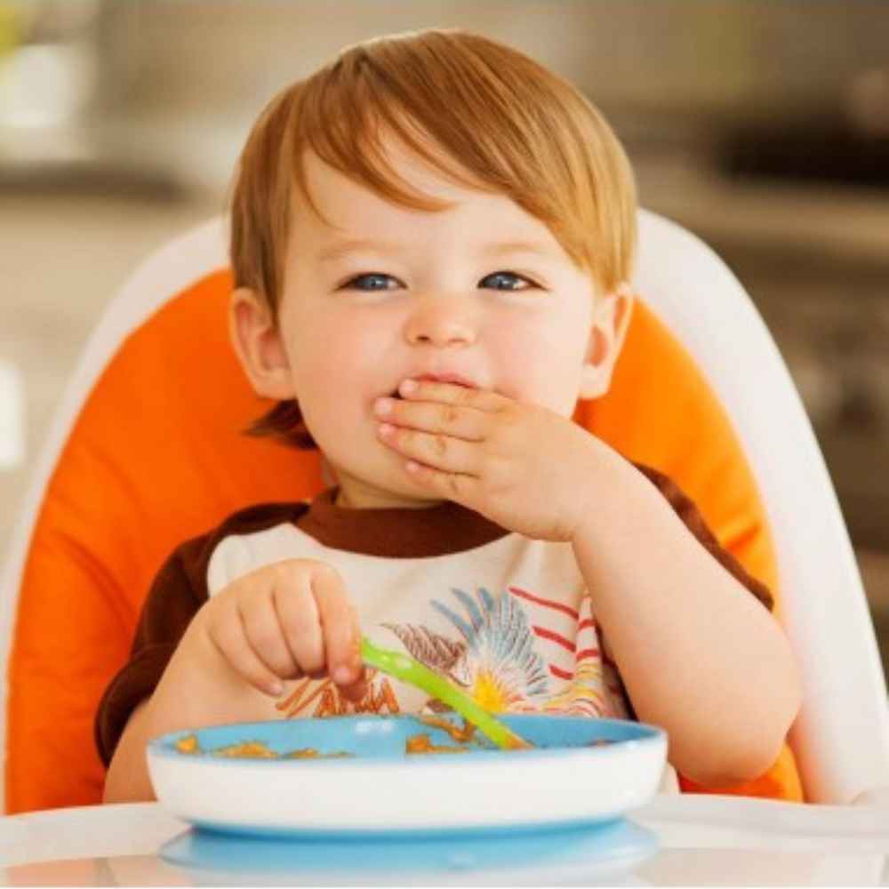 Munchkin Suction Plate Γαλάζιο