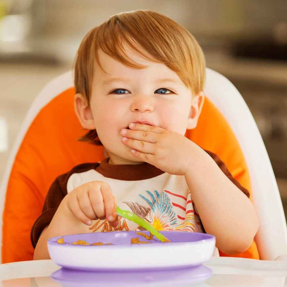 Munchkin Suction Plate Μωβ