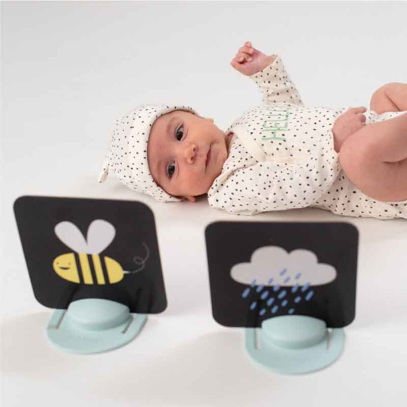 Taf Toys Κάρτες Εκμάθησης Tummy-Time