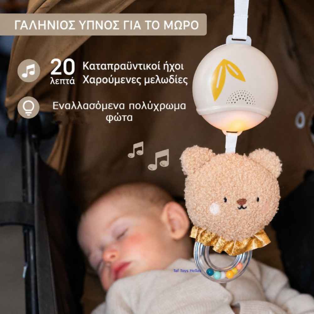 taf-toys-bear-musical-toy-piti-2