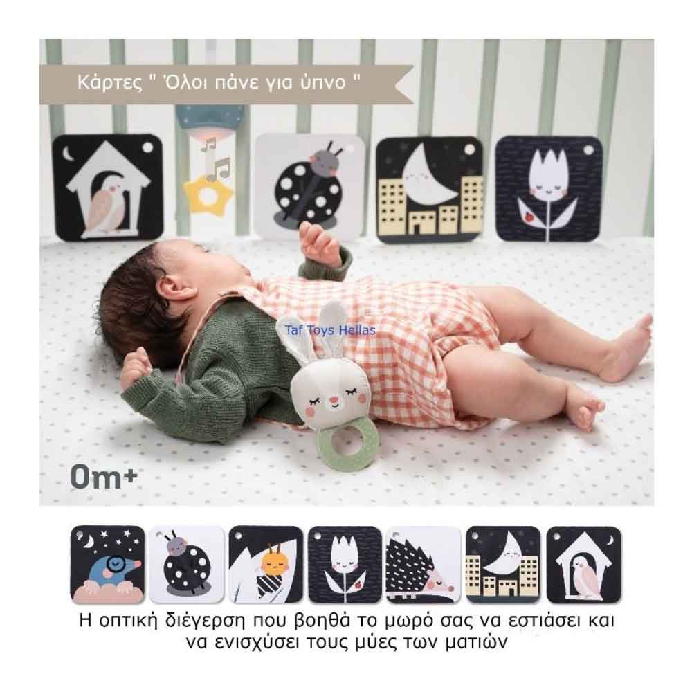 Taf Toys Bedtime Kit