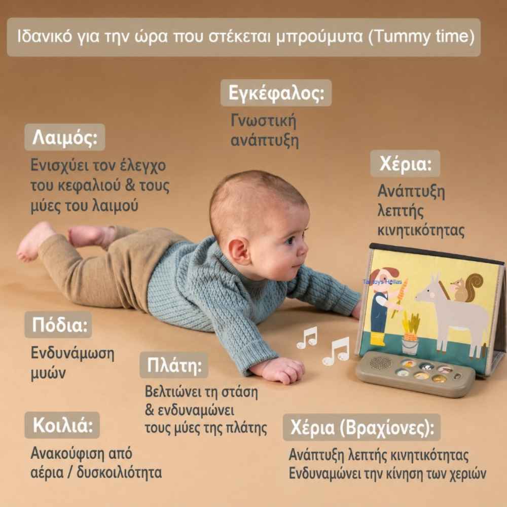 taf-toys-farm-musical-tummy-time-book-piti-8