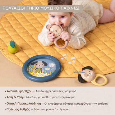 Taf Toys Musical Discovery Kit