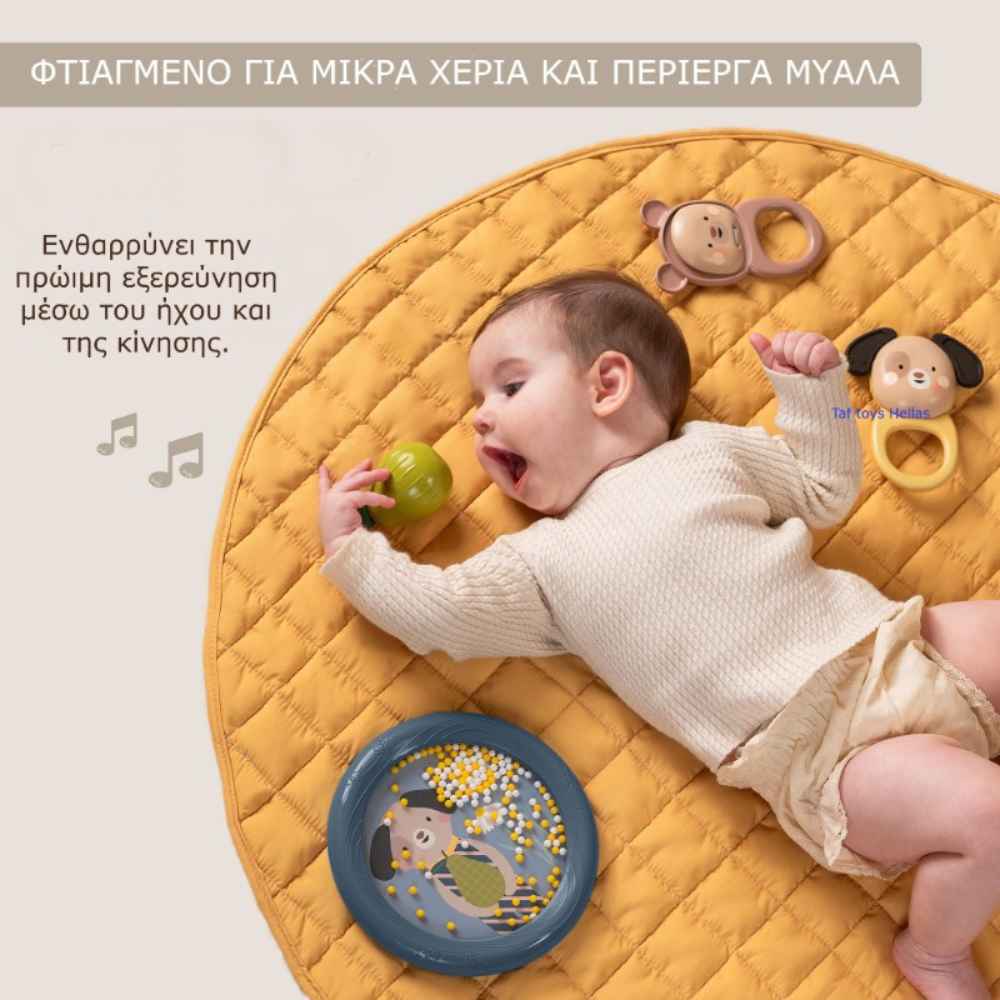 Taf Toys Musical Discovery Kit