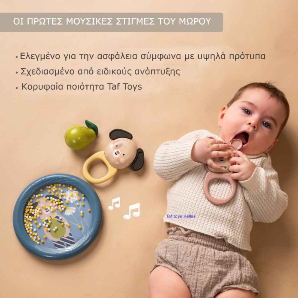 Taf Toys Musical Discovery Kit