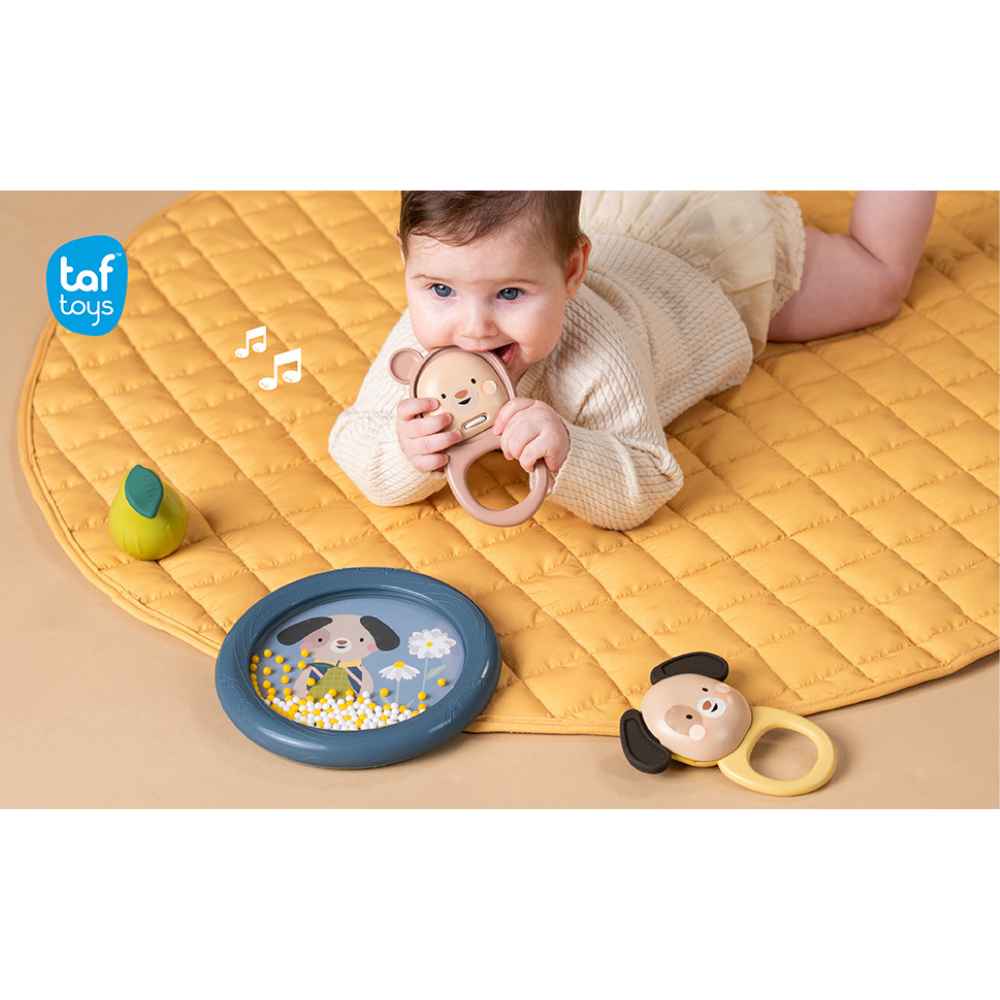 Taf Toys Musical Discovery Kit