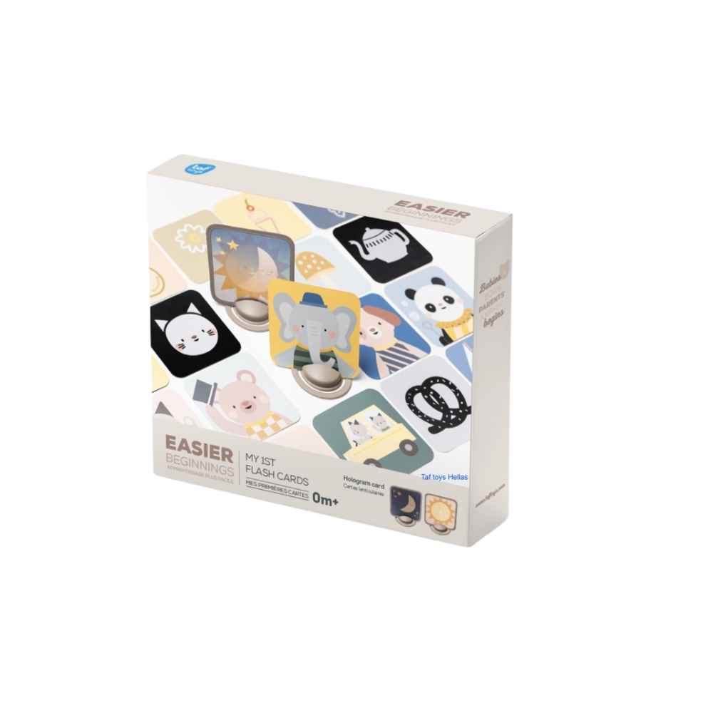 taf-toys-my-1st-discoveries-flash-cards-piti-10