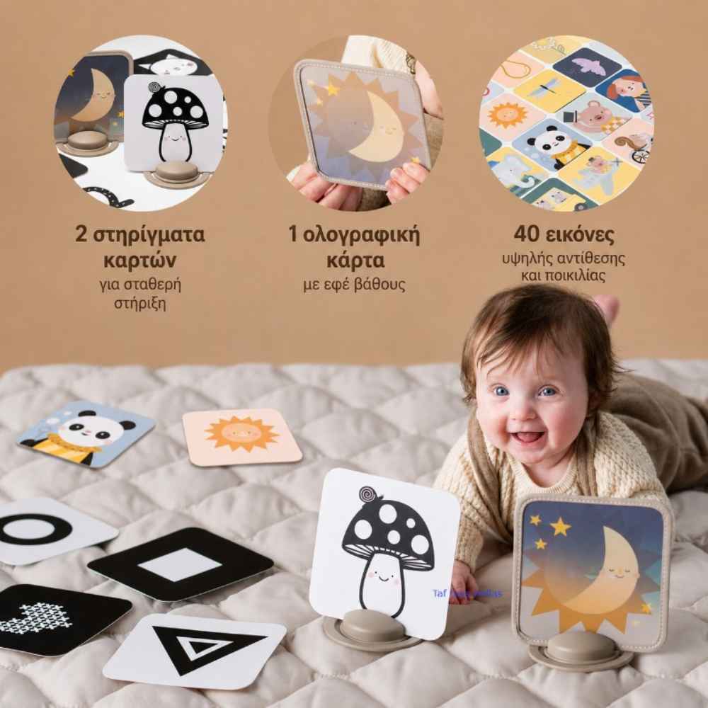 taf-toys-my-1st-discoveries-flash-cards-piti-2