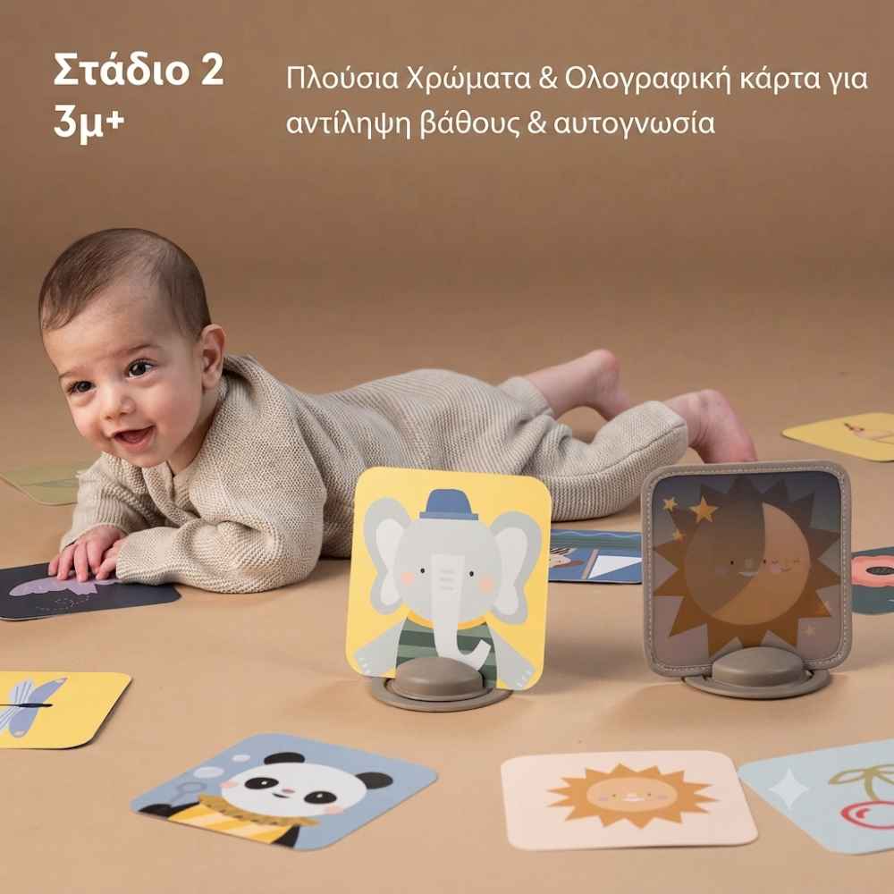 taf-toys-my-1st-discoveries-flash-cards-piti-4