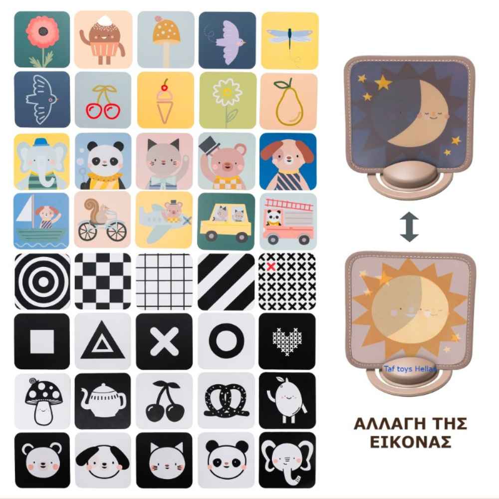 taf-toys-my-1st-discoveries-flash-cards-piti-6