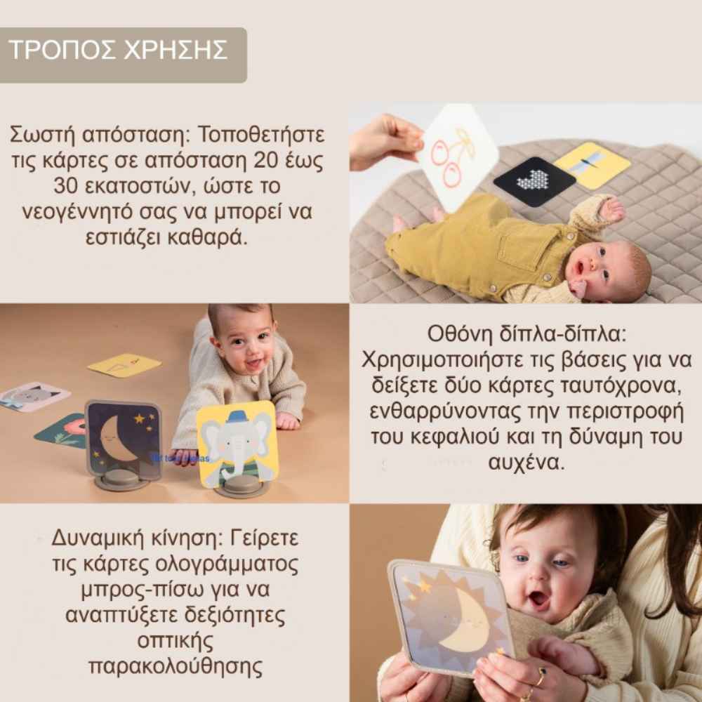 taf-toys-my-1st-discoveries-flash-cards-piti-7