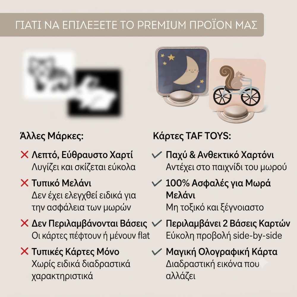 taf-toys-my-1st-discoveries-flash-cards-piti-9