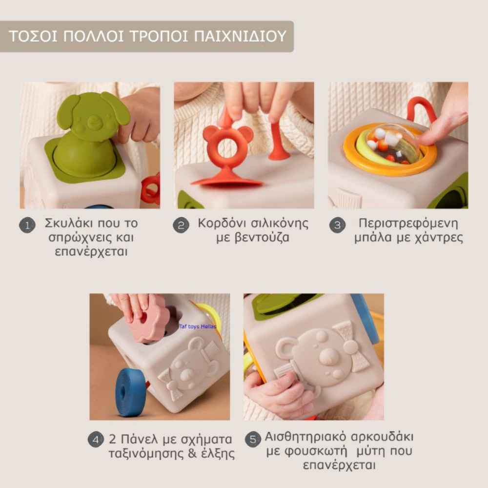 Taf Toys Peek & Play Cube