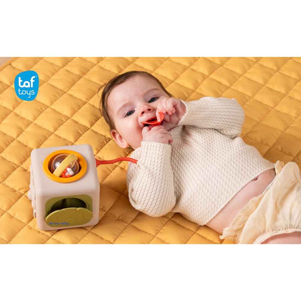 Taf Toys Peek & Play Cube