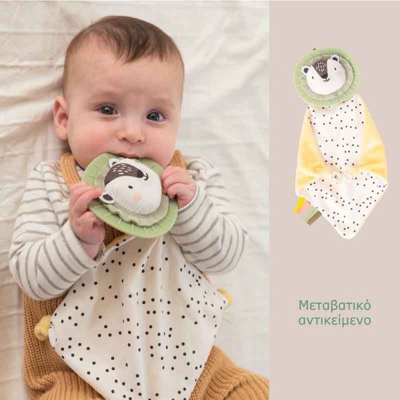 Taf Toys Σετ Δραστηριοτήτων Νεογέννητου Develop & Play kit
