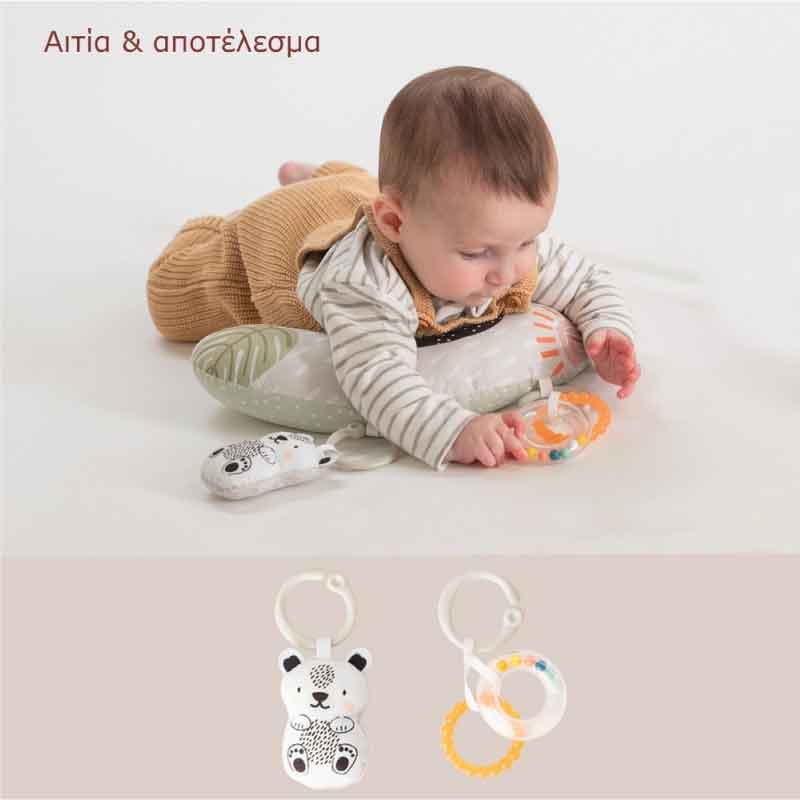 Taf Toys Σετ Δραστηριοτήτων Νεογέννητου Develop & Play kit
