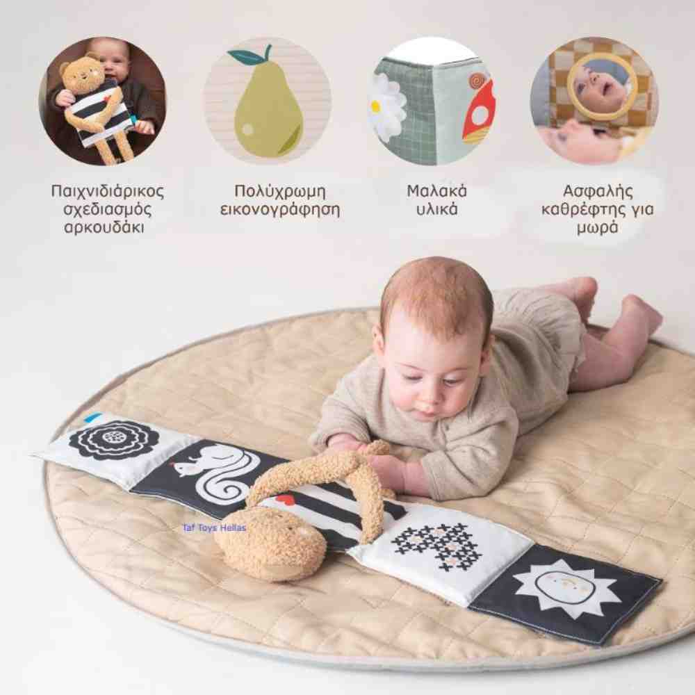 Taf Toys Snuggle Bear Book