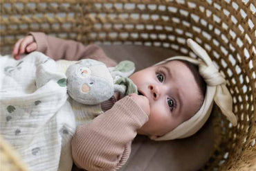 Taf Toys Πανάκι Παρηγοριάς Bunny