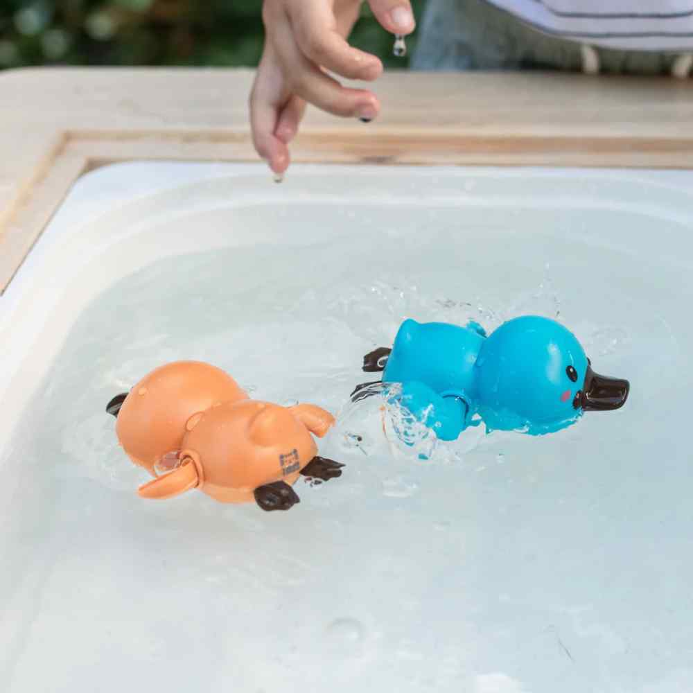Tiger Tribe Bath Duck Racers