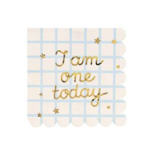 Χαρτοπετσέτες γαλάζιες καρό «I am One Today» (12 τμχ)